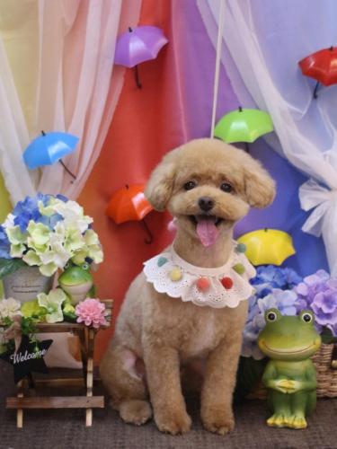 20230620ぽっきーくん